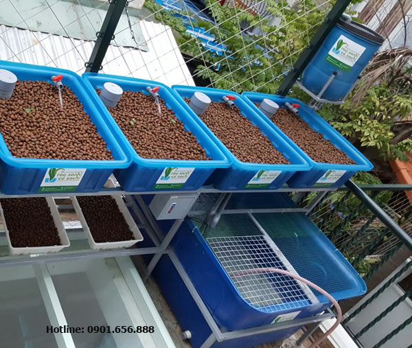 Hệ Rau Xanh Cá Sạch Aquaponics chuẩn với 4 khay