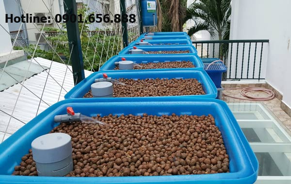 Hệ Rau Xanh Cá Sạch Aquaponics 7 Khay Rau